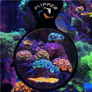 FLIPPER DEEPSEE MAX LUPA