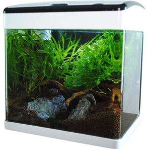 AQN NT-32 WHITE AKWARIUM 32L LED