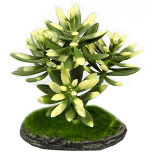 AQN REP17015 Roślina sztuczna 15cm kod REP17015.