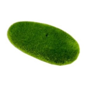 AQN 81#9-4 Dekoracja 81#9-4