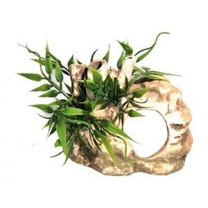 AQN N-30005 JASKINIA ŚREDNIA 12,5 x 10,5cm opakowa