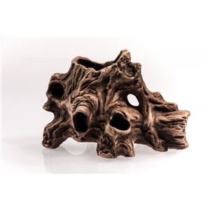 AQN N-28018  KORZEŃ DZIURAWY 13x19x11cm,