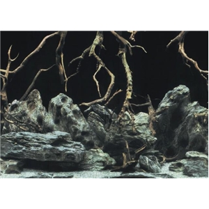 AQN TŁO TREE ROOTS/WATER S 60x30cm