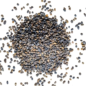 NATTEC HOKKAIDO GRAVEL 5-8MM 5KG