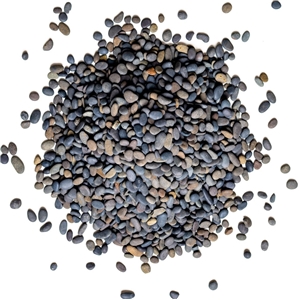 NATTEC HOKKAIDO GRAVEL 9-12MM 5KG