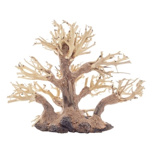PROGROW BONSAI TREE BT1S 20X10X15CM