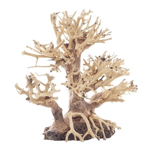PROGROW BONSAI TREE BT1S 20X10X15CM