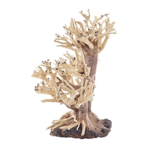 PROGROW BONSAI TREE BT1S 20X10X15CM