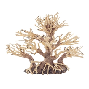 PROGROW BONSAI TREE BT1S 20X10X15CM