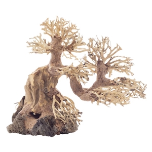 PROGROW BONSAI TREE BT6XL 40X15X30CM