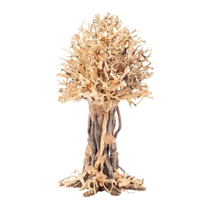 PROGROW BONSAI TREE BT7L 30X20X35CM