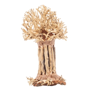 PROGROW BONSAI TREE BT7S 15X12X20CM