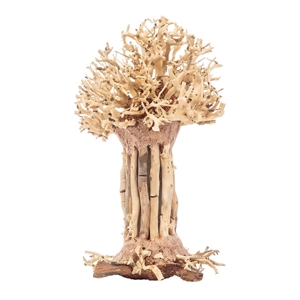 PROGROW BONSAI TREE BT7S 15X12X20CM