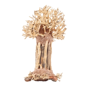 PROGROW BONSAI TREE BT7S 15X12X20CM