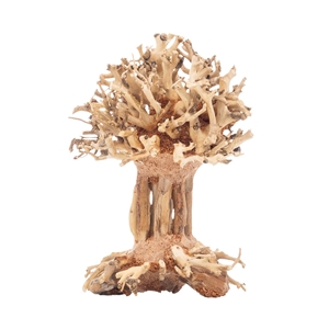 PROGROW BONSAI TREE BT7XS 10X10X15CM