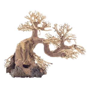 PROGROW BONSAI TREE BT8L 30X13X23CM