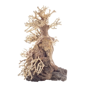 PROGROW BONSAI TREE BT8L 30X13X23CM