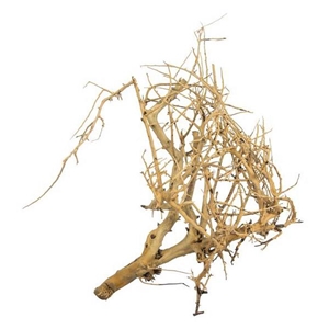 PROGROW BRANCH WOOD 0,1KG