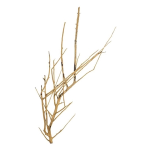 PROGROW BRANCH WOOD 0,1KG