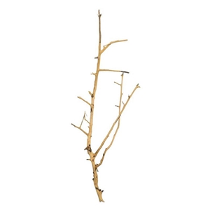 PROGROW BRANCH WOOD 0,1KG