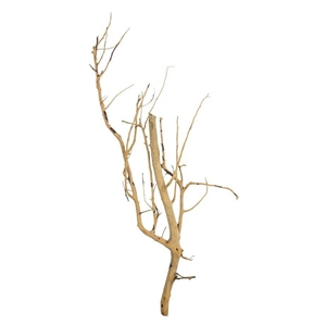PROGROW BRANCH WOOD 0,1KG