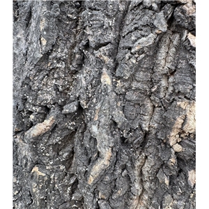 PROGROW CORK BARK 40-50CM 1KG