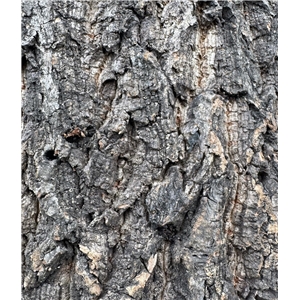 PROGROW CORK BARK 40-50CM 1KG