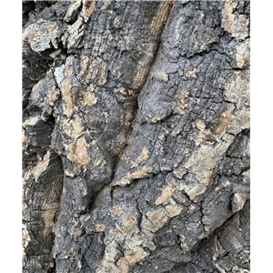 PROGROW CORK BARK 40-50CM 1KG