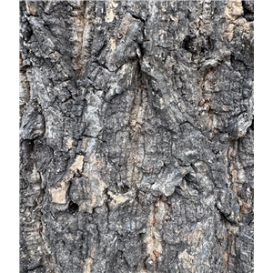 PROGROW CORK BARK 55-70CM 1KG