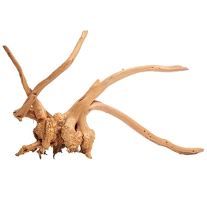 PROGROW CRADLE WOOD 40-50CM 1KG