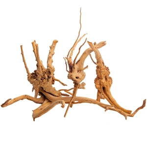 PROGROW CRADLE WOOD 10-30CM 1KG