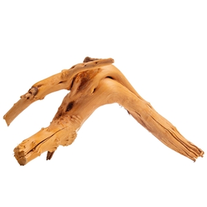 PROGROW CRADLE WOOD 10-30CM 1KG