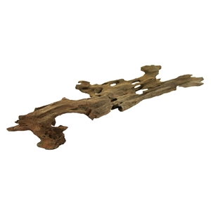 PROGROW DRAGON WOOD 1KG