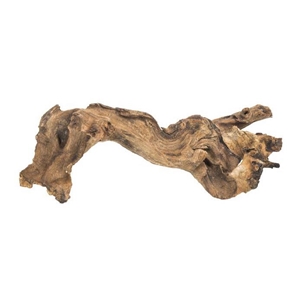 PROGROW DRIFT WOOD S 15-20CM 1SZT.