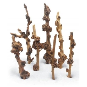 PROGROW ENIGMA WOOD 1SZT.