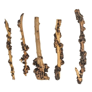 PROGROW ENIGMA WOOD 1SZT.