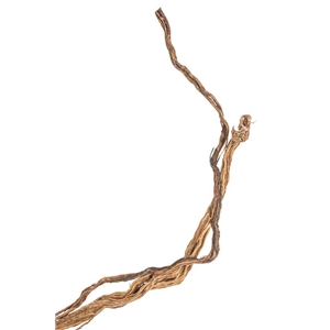 PROGROW FINE WOOD WAVE 1KG