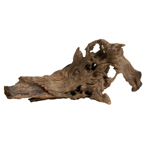 PROGROW JAGGED WOOD 15-25CM 1SZT.