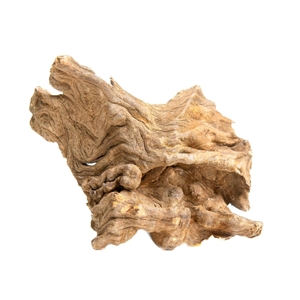 PROGROW JAGGED WOOD 10-16CM 1SZT.