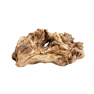 PROGROW JAGGED WOOD 10-16CM 1SZT.