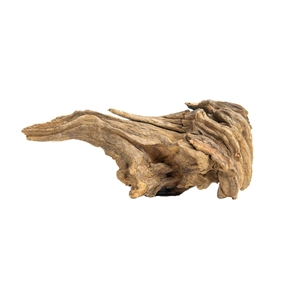 PROGROW JAGGED WOOD 10-16CM 1SZT.