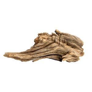 PROGROW JAGGED WOOD 10-16CM 1SZT.