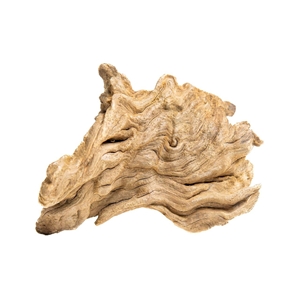 PROGROW JAGGED WOOD 10-16CM 1SZT.