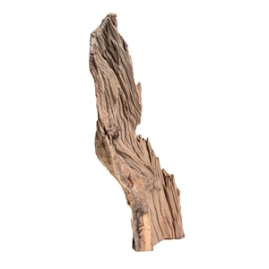 PROGROW JAGGED WOOD 30-45CM 1SZT.