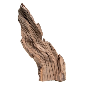 PROGROW JAGGED WOOD 30-45CM 1SZT.