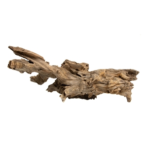 PROGROW JAGGED WOOD 45-55CM 1SZT.