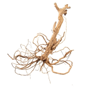 PROGROW MOSS TREE 20-40CM 1SZT.