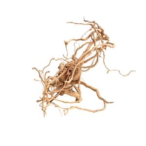 PROGROW MOSS TREE 20-40CM 1SZT.