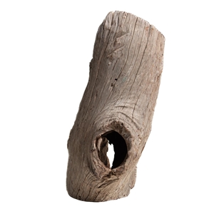PROGROW OLD TRUNK WOOD 30-60CM 1KG - zdjęcie 2