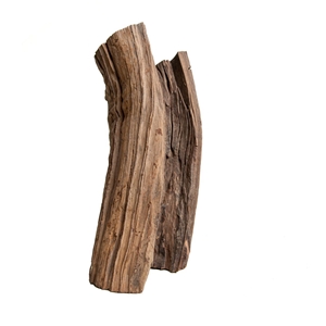 PROGROW OLD TRUNK WOOD 30-60CM 1KG - zdjęcie 11